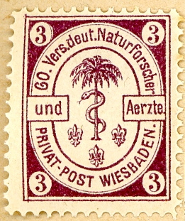 Wiesbaden, Transport-Anstalt und Privat-Post, MiNr. 27
